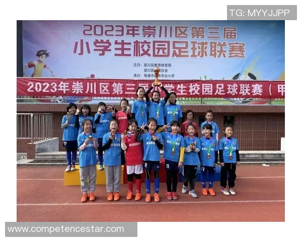 中国足球甲级联赛奖杯的历史演变与未来展望探讨